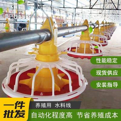 养鸡场自动喂料机鸡用设备全套上料机升降水线料线可升降自动鸡舍