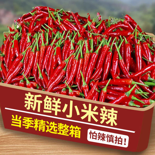 新鲜小米辣椒2斤现摘小米椒朝天