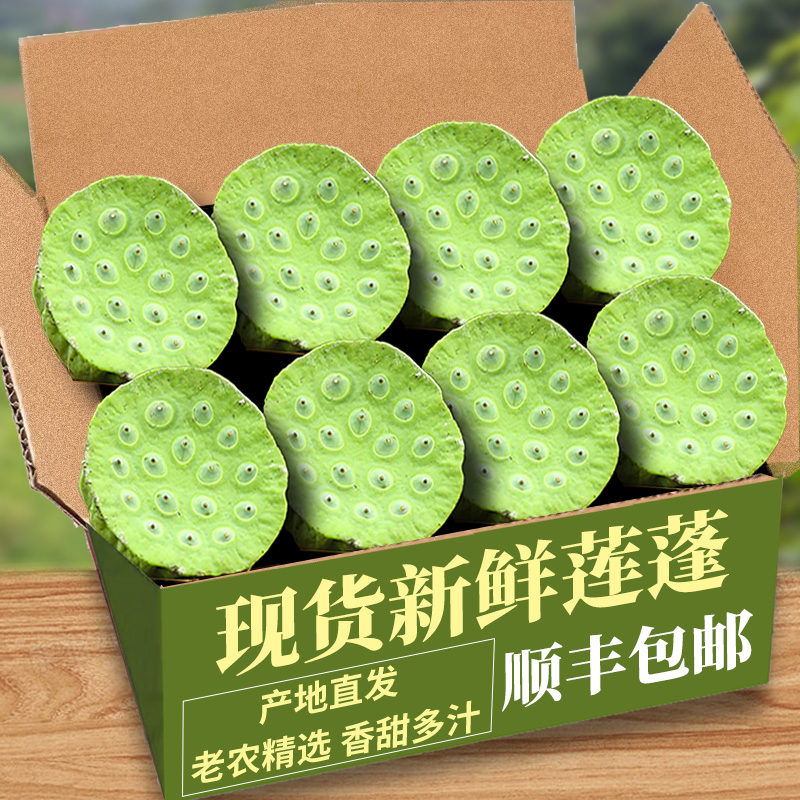 现货新鲜莲蓬现摘生吃4斤新鲜孕妇水果当季蔬菜甜嫩湿莲子米即食