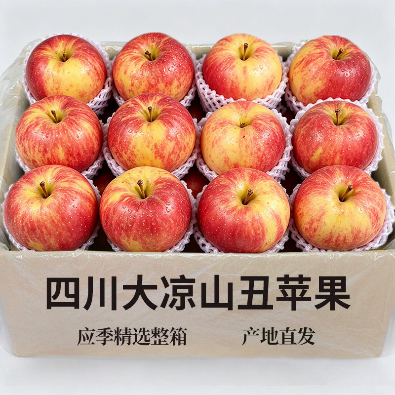 精选新果丑苹果8个(特价实惠)