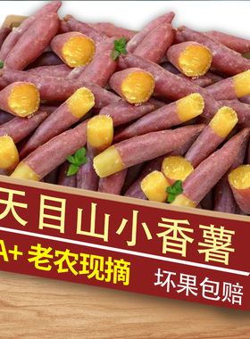 新鲜临安天目山小香薯5斤正宗红薯板栗薯黄心迷你地瓜蜜山芋蕃薯2