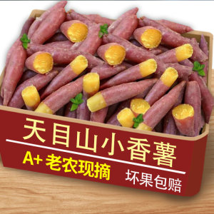 新鲜临安天目山小香薯5斤正宗红薯板栗薯黄心迷你地瓜蜜山芋蕃薯2