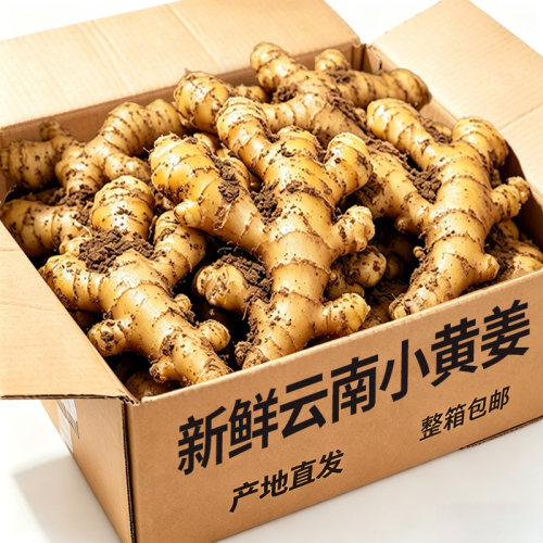 现挖正宗云南小黄姜新鲜