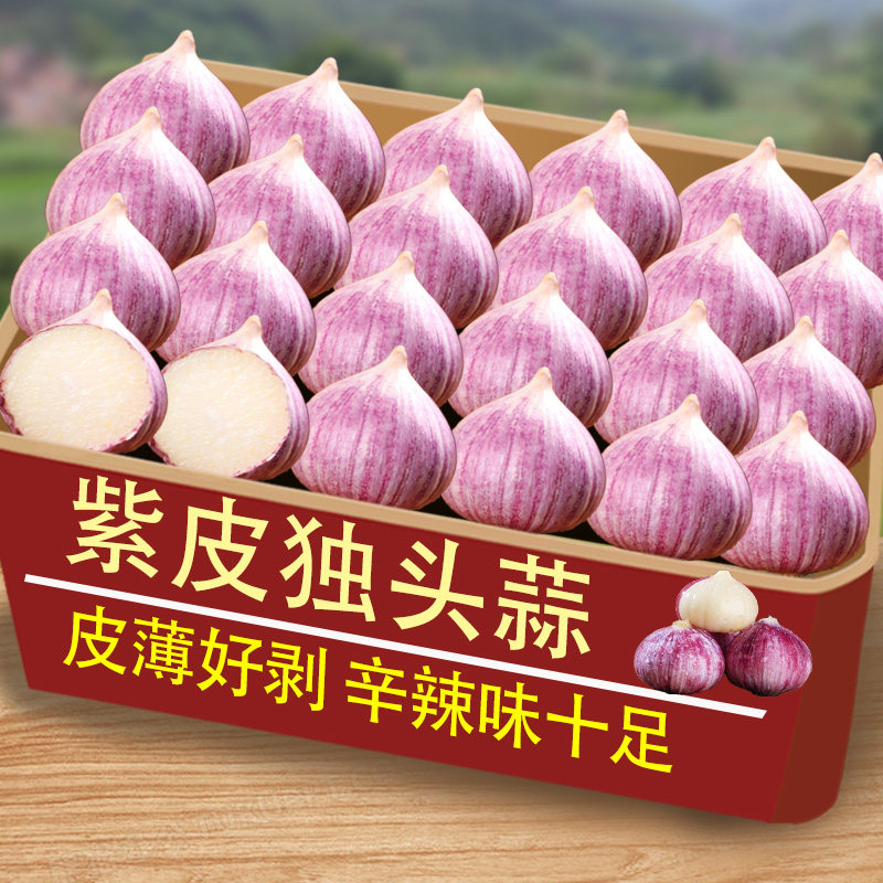 2026云南紫皮独头蒜大蒜红皮独蒜鲜独蒜当季新鲜现挖湿蒜蔬菜包邮