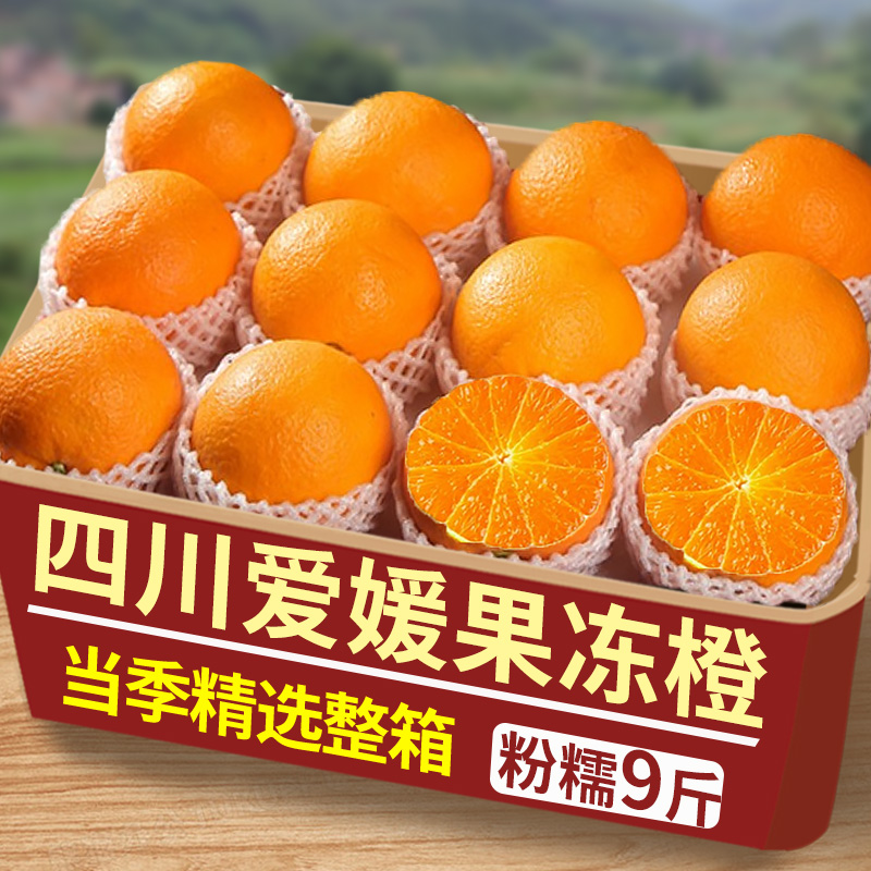 爱媛38号果冻橙新鲜橙子