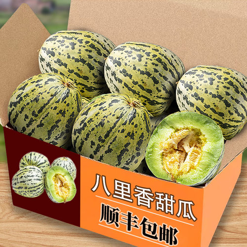 香甜3斤（4-8个）花美人甜瓜