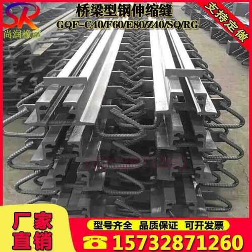 公路桥梁伸缩缝GQF-C40/D40/F60/E80/Z型伸缩装置毛勒缝梳齿板缝