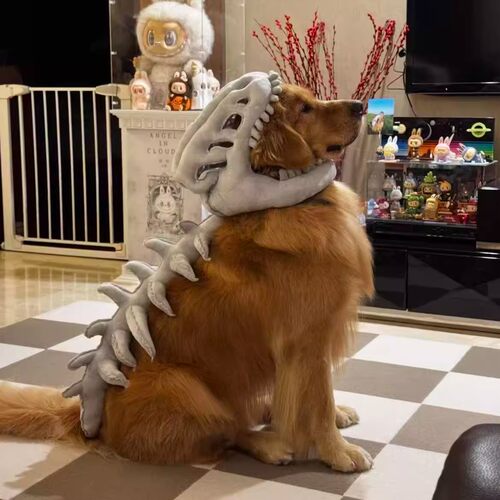 恐龙骨架帽子中大型犬搞怪面具头套宠物狗狗万圣节装饰帽拍照打卡