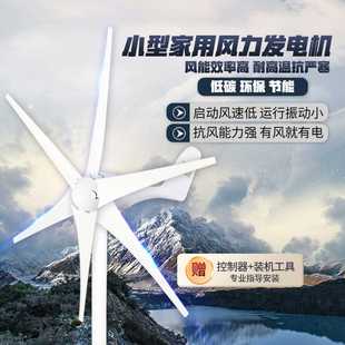 风力发电机家用220V小型风能大功率12v24v永磁带风光发电丁欧