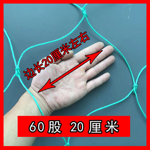 定做加粗60股20厘米边长爬藤网月季花卉种植