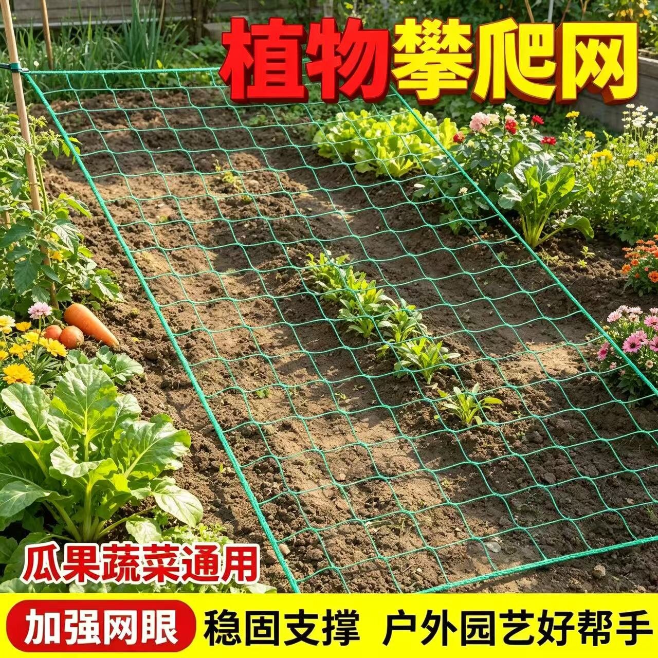 四边锁边植物爬藤网定型网