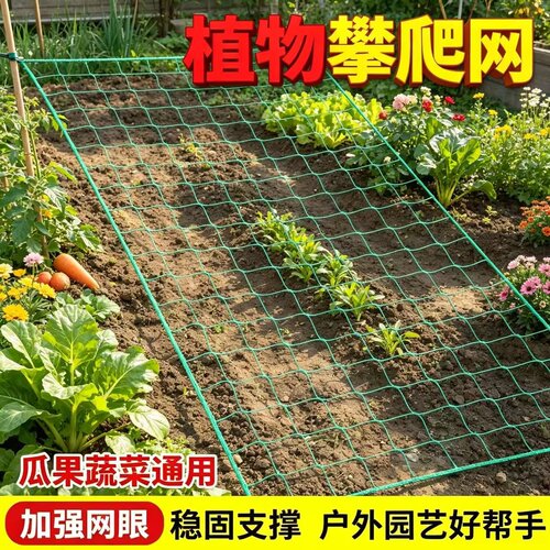 四边锁边植物爬藤网定型网