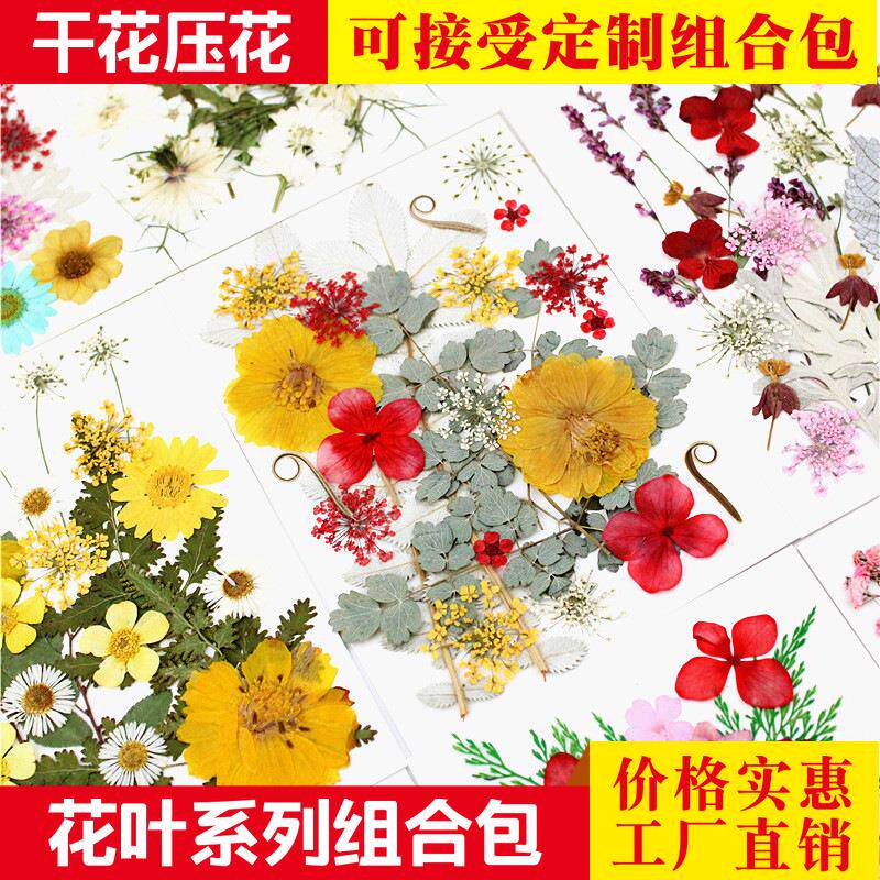 Pressed Flower干花包 干花压花组合包 真花押花材料包 花瓣装饰
