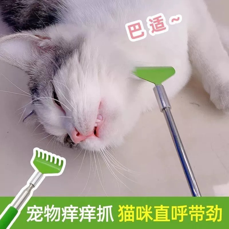 伸缩痒痒挠按摩互动猫梳子狗狗解痒梳毛猫咪抓痒玩具宠物撸猫