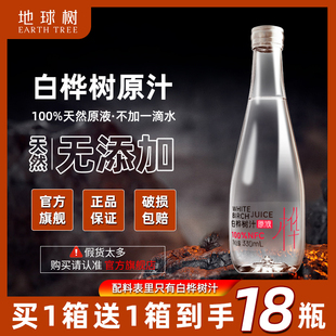 地球树100%白桦树原汁长白山桦树汁NFC原液植物饮料整箱官方旗舰