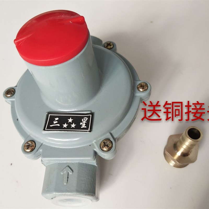DN15燃气减压阀天然气调压器家用热水器稳压器表前燃气调压器