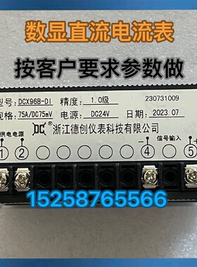 浙江德创仪表 数显直流电压 电流表DCX96B-DI  DCX96B-DU  DP3