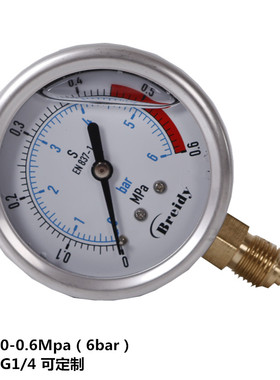 Breldy耐震压力表水气油液压表不锈钢YN60 1.6/2.5/25/40/60MPA