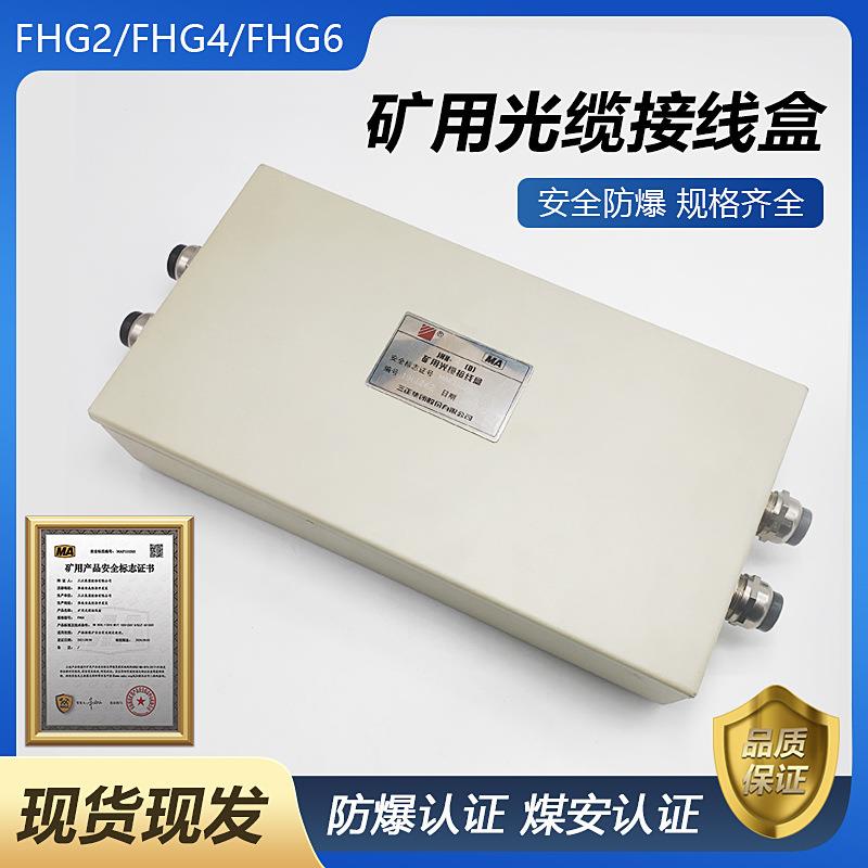 矿用光纤接线盒 FHG2/4/6光缆接线盒 二进二出光缆盘纤防爆接线盒