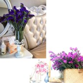 包邮 新鲜勿忘我鲜花配花可制干花家庭办公室插花DIY 春琳花房