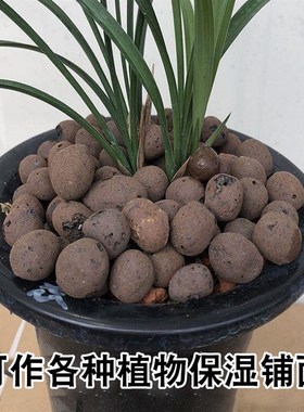花盆垫底陶粒保水多肉植物铺面工程回填陶土颗粒石肥料营养土包邮