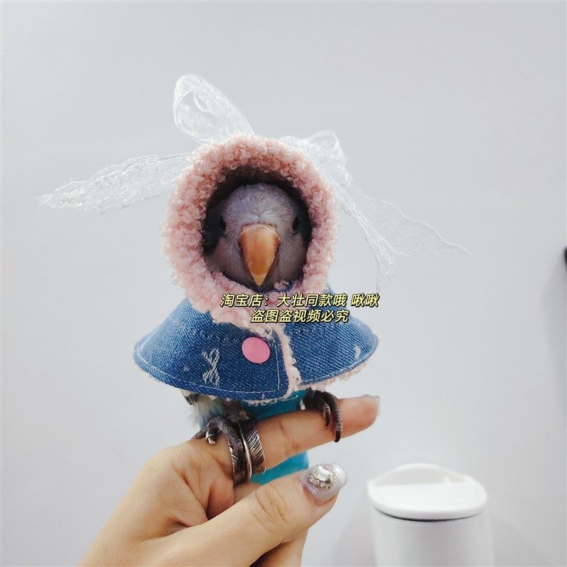 蝴蝶结牛仔款鹦鹉披风斗篷鸟衣服鹦鹉披风玄凤加厚保暖外出服鹦鹉,宠物/宠物食品及用品,鸟禽服饰,淘宝优惠券,粉丝福利购,淘宝优惠卷