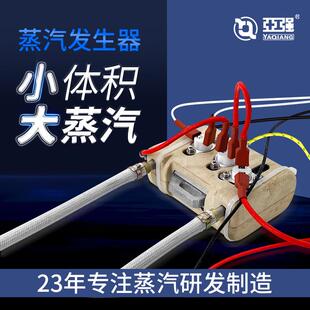 新型电加热蒸汽发生器商用高温蒸汽发热体即热式蒸汽蒸汽发生器