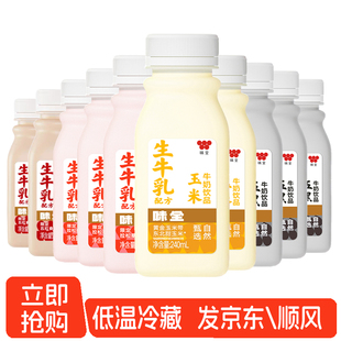 味全5黑牛奶饮品240ml 营养早餐草莓生牛乳配方低温冷藏 10瓶装