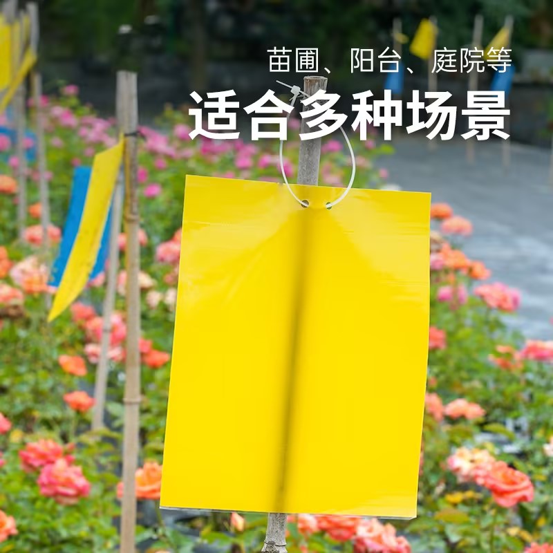黄板粘虫贴双面强力捕虫通用款