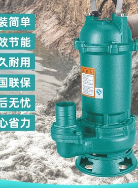 天下潜水泵380v大功率污水泵绿化泥浆F220v抽粪小型污水泵未来万