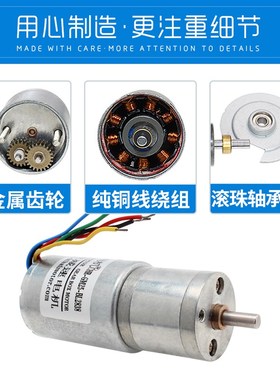 工厂 GM25BL2838直流无刷减速电机现货参数DC24V170RPM
