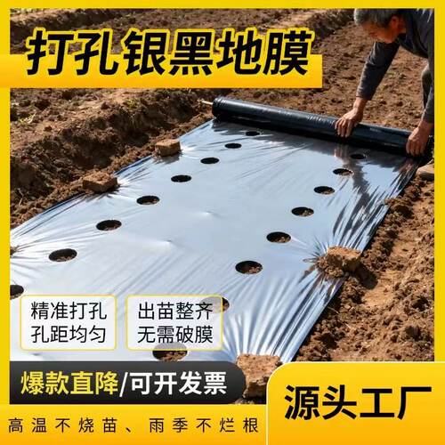 农用银黑双色打孔蔬菜地膜