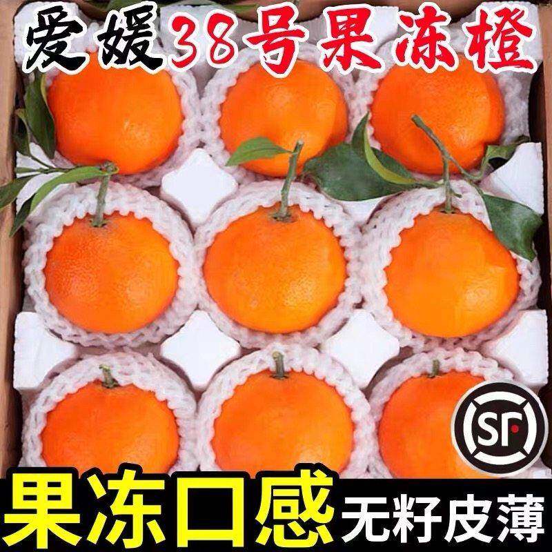 四川爱媛38号果冻橙10斤手剥橙子新鲜当季孕妇水果桔子整箱大果5