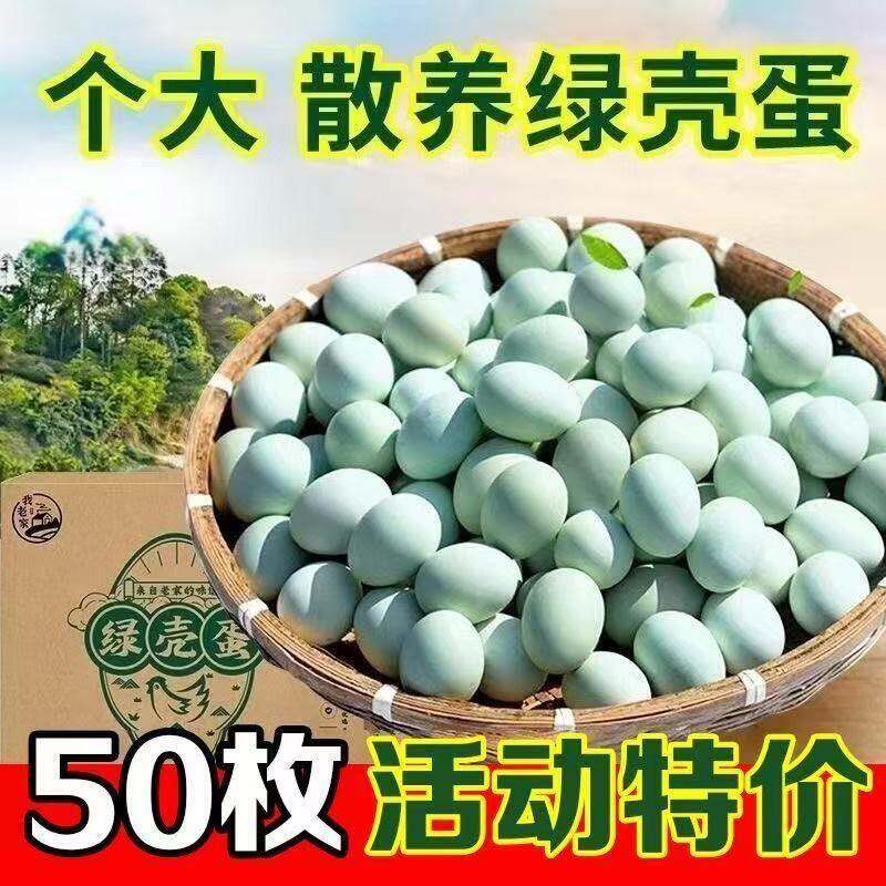 新鲜绿壳乌鸡蛋农家散养绿壳土鸡蛋笨鸡蛋新鲜天然绿壳蛋包邮