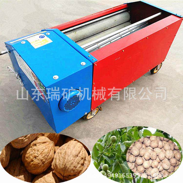 青核桃去皮机核桃剥皮机水洗核桃脱皮机