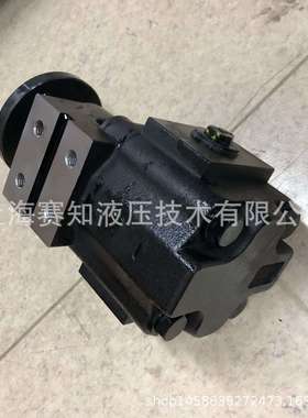 P2500A299NDHK20-1TC  齿轮泵国产替代 伯姆克 PERMCO Z51117507A