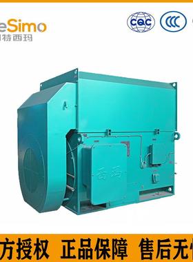泰富西玛集团YXKK4504-8280KW50HZ10KVB35异步电动机