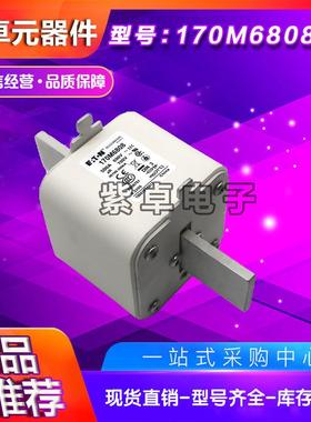 170M6697170M6698170M6699170M6700170M6701伊顿巴斯曼熔断器