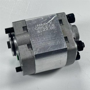 1.6 FV2.1 汽车自卸车举升机齿轮油泵液压动力单元 配件齿轮泵CBK