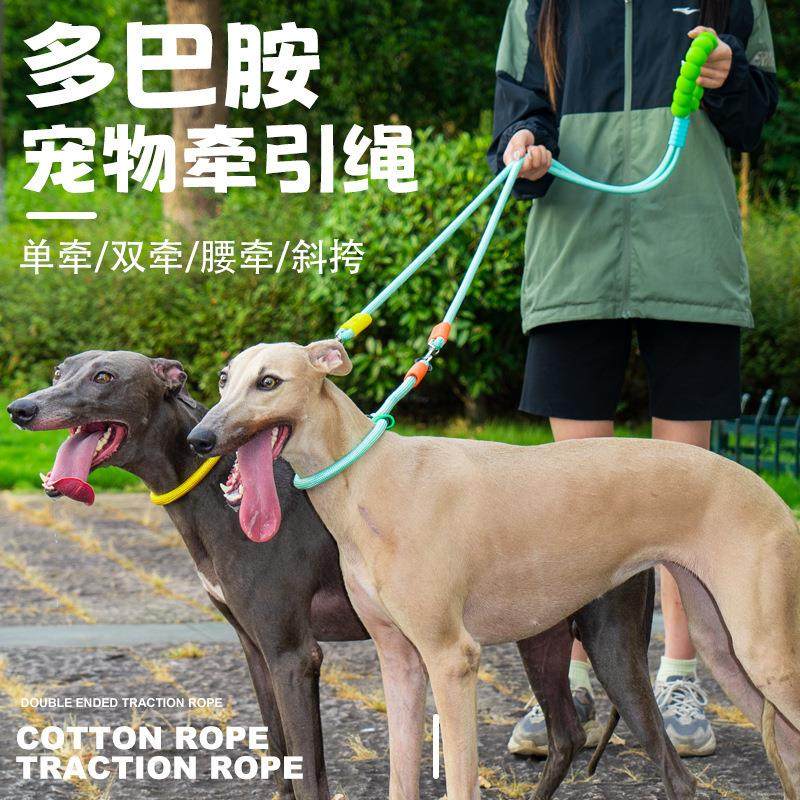 跨境新款双头遛狗绳狗狗p链赛级中大型犬套脖防爆宠物狗冲用品