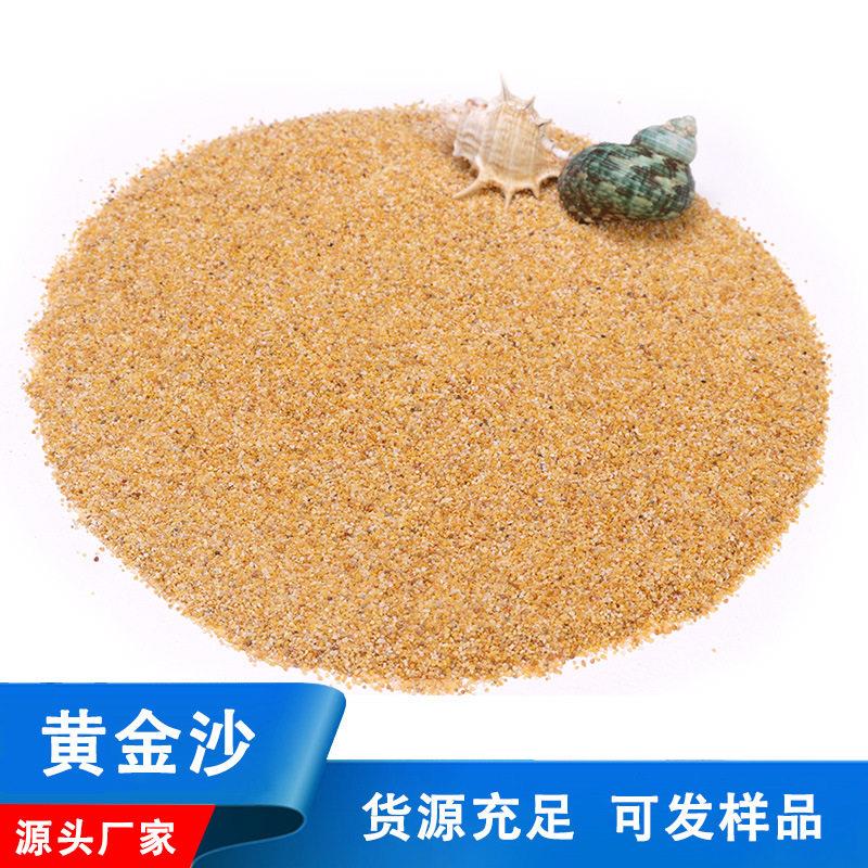 金黄色水族箱水陆缸沙微景观多肉装饰水族造景细黄沙鱼缸底砂
