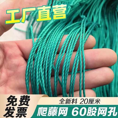 爬藤网园艺网网攀援网月季瓜果网苦瓜园艺家用吊瓜网农用网格吊瓜