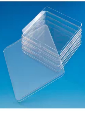 赛默飞NUNC 240845 Bio-Assay培养皿，低外形