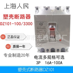 40A 100A 80A 63A 50A 35A 20A 16A 100 质保1年断路器DZ101