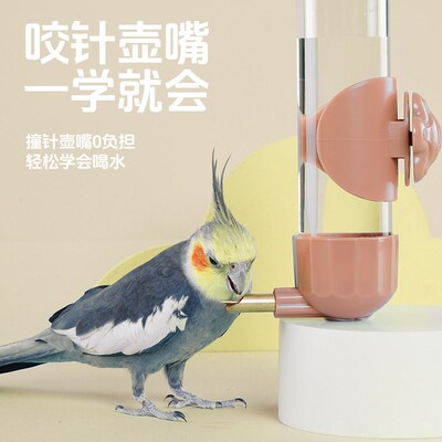 宠尚天鹦鹉饮水器鸟用喝水神器小鸟笼自动喂水撞针式水壶用品大全