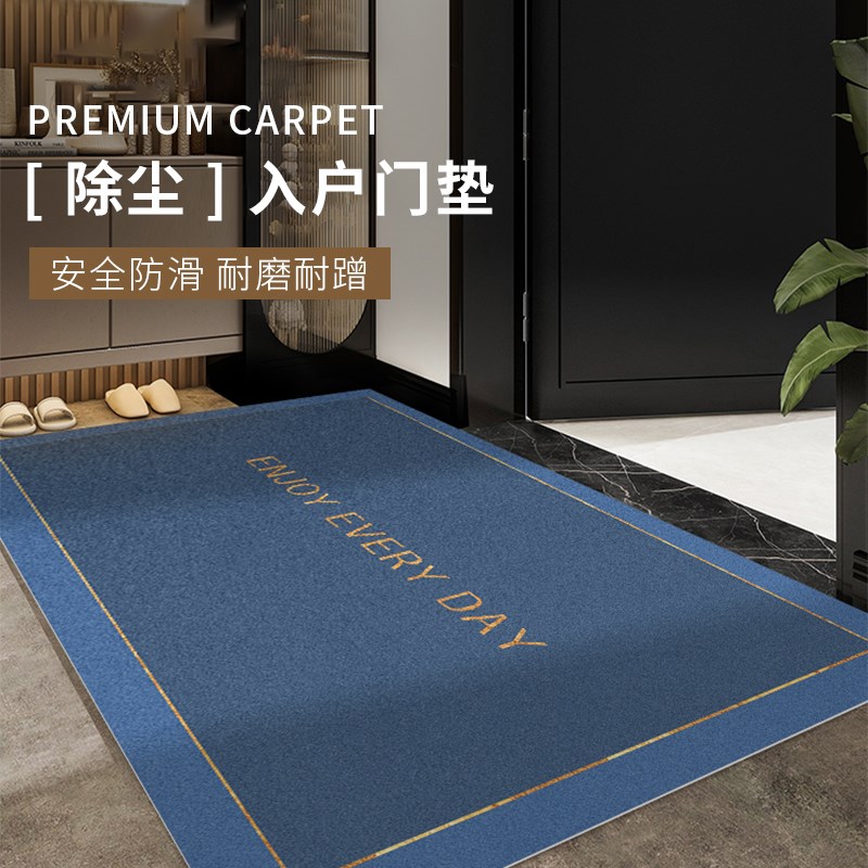 入户门地垫门口进门入门2024新款高级感pvc可擦洗门外玄关脚垫子