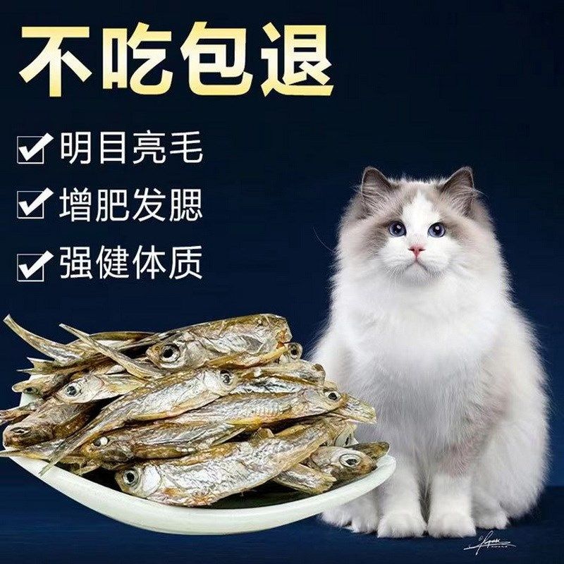 宠物零食小鱼干淡水无盐无油小白条鱼干猫咪零食猫吃鱼干乌龟粮食,宠物/宠物食品及用品,猫风干零食/肉干/鱼干,淘宝优惠券,粉丝福利购,淘宝优惠卷