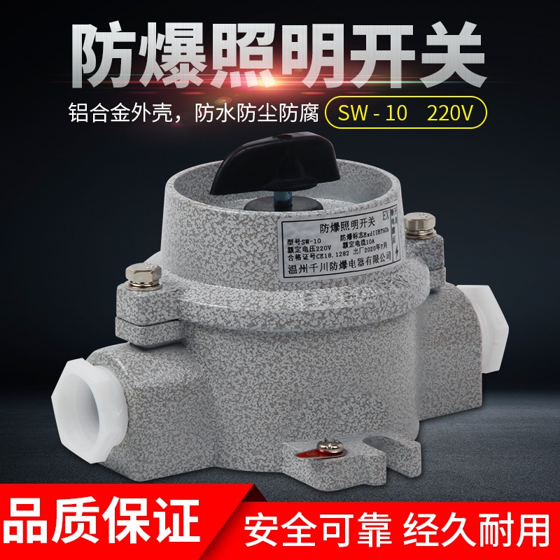 SW10国标380V防爆照明开关 220V防水防潮防尘控制按钮10A