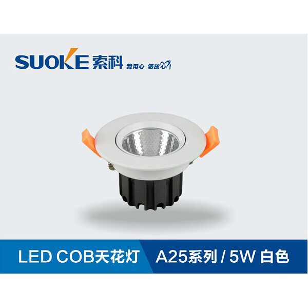 LED射灯COB天花灯A25系列5W10W客厅卧室天花射灯背景墙包邮