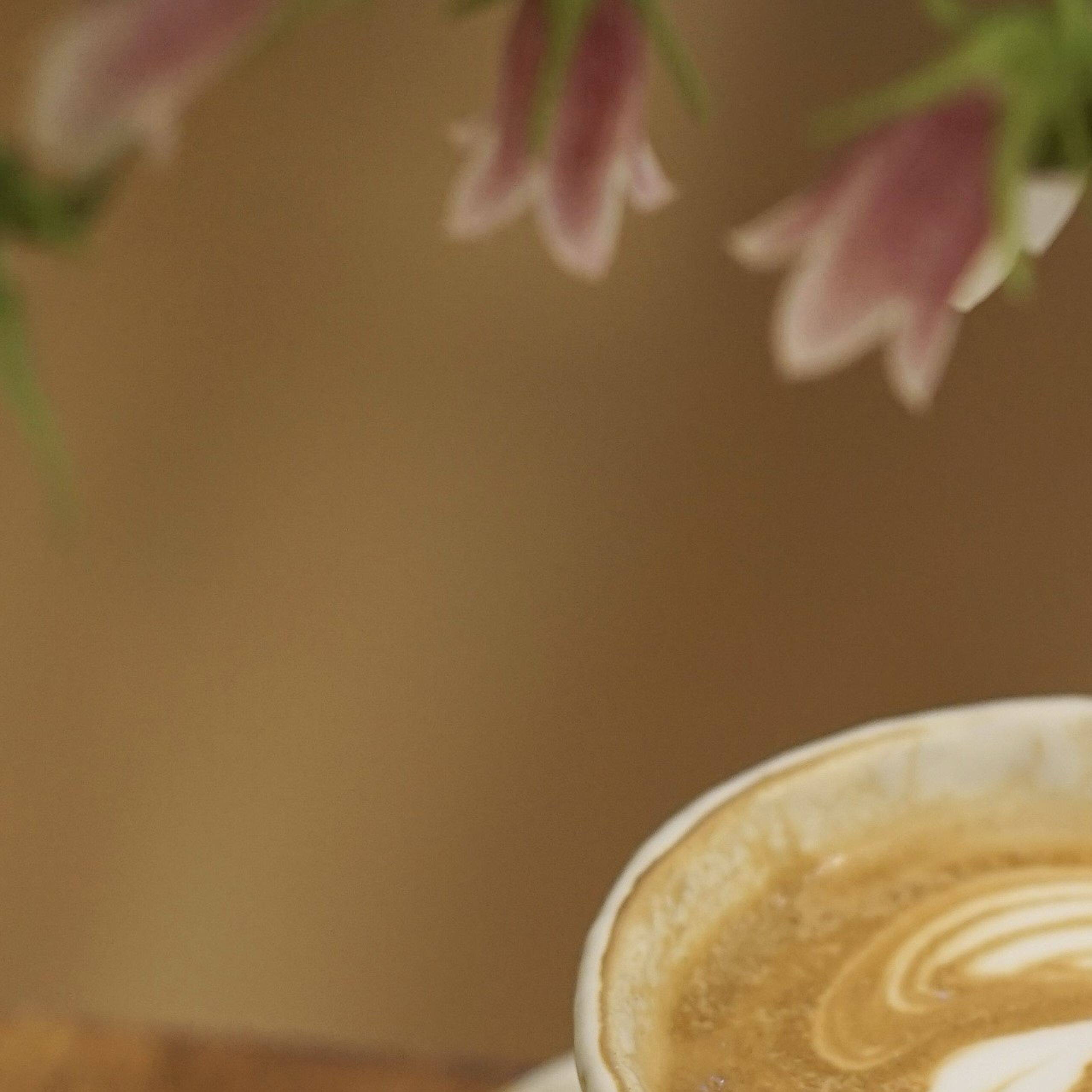花间树里。粉引釉下彩咖啡杯拿铁杯拉花杯下午茶杯手冲咖啡杯手握